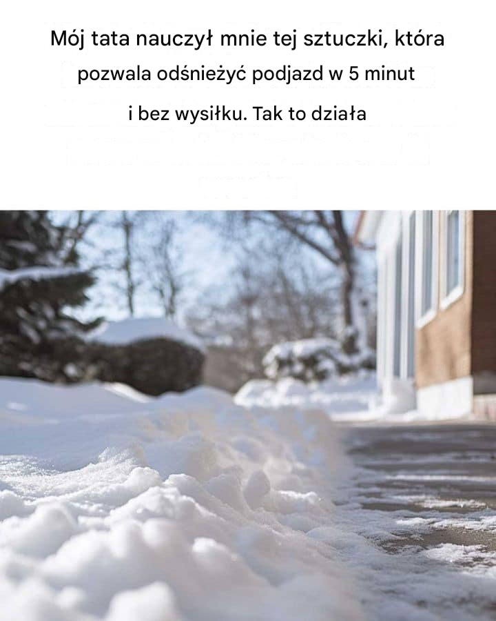 Szkoda, że ​​nie zobaczyłam tego wcześniej