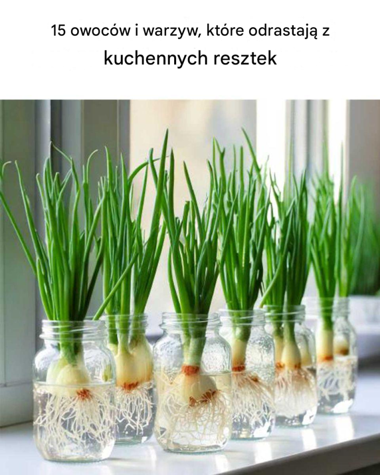 To jest naprawdę świetne