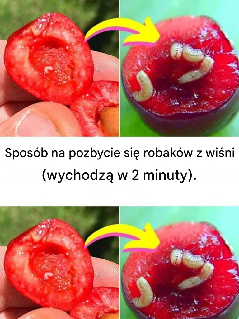 Sposób na pozbycie się robaków z wiśni (wychodzą w 2 minuty).
