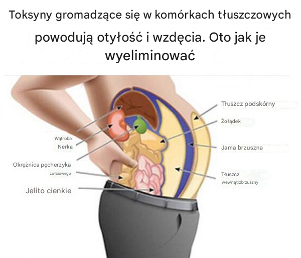 Toksyny przechowywane w komórkach tłuszczowych sprawiają, że jesteś gruby i wzdęty. Oto jak je wyeliminować