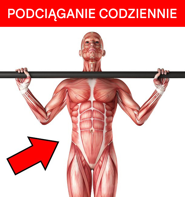 Zmień swoje ciało w 30 dni dzięki podciąganiu się każdego dnia