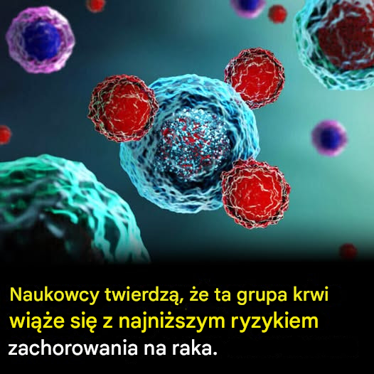 Naukowcy ujawniają, która grupa krwi wiąże się z najniższym ryzykiem zachorowania na raka
