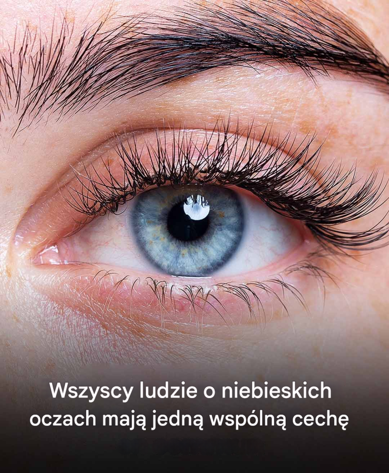 Wszyscy ludzie o niebieskich oczach mają jedną wspólną cechę