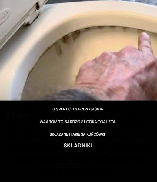 Ekspert ujawnia przyczynę uporczywych plam w toalecie i sposób ich usuwania