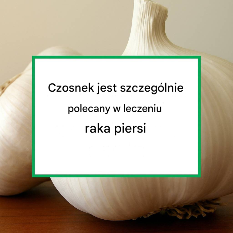 Czosnek jest szczególnie polecany w leczeniu raka piersi