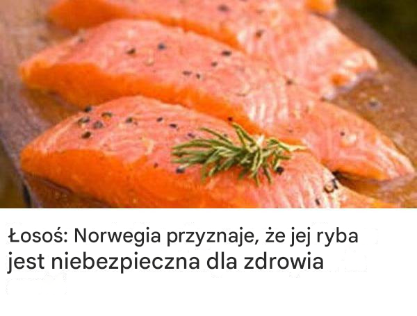 Łosoś: Norwegia przyznaje, że jej ryba jest niebezpieczna dla zdrowia