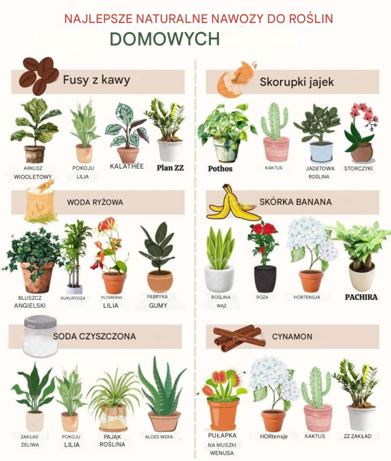 Najlepsze naturalne nawozy dla roślin domowych