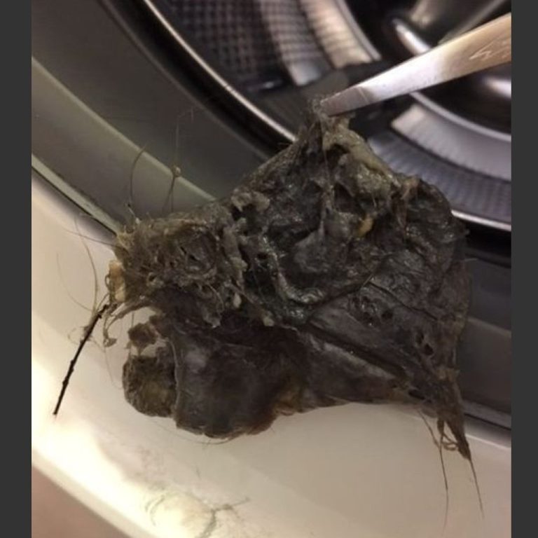 Jak czyścić pralkę ładowaną od przodu