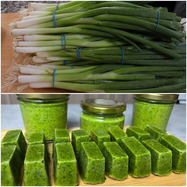 Rewolucyjny nowy sposób na konserwowanie cebuli zimowej