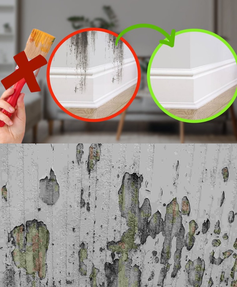 PLAMY NA ŚCIANACH, NIE FARBA: TRIK, BY ZNIKNĄĆ W SZYBKIM CZASIE