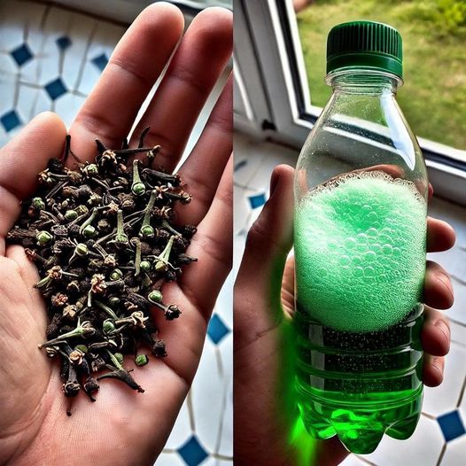 Tylko spryskując łazienkę tą mieszanką pozbędziesz się zapachu na stałe.