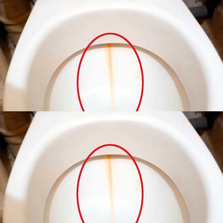 Nakładam go na szczotkę toaletową i czyszczę toaletę. Kamień znika w mgnieniu oka!!