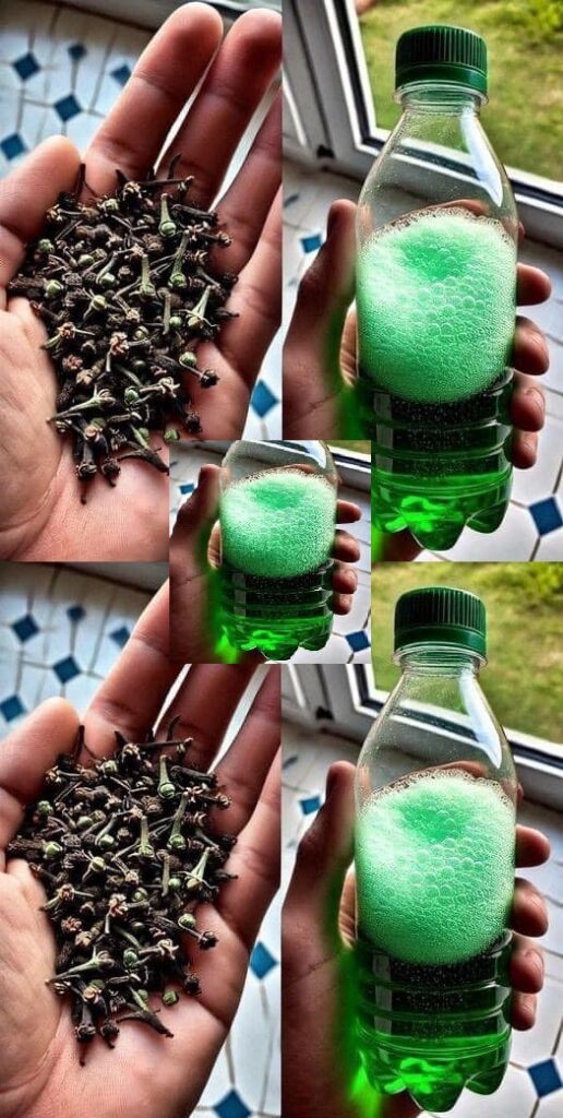 Jak usunąć zapach moczu z łazienki i pozostawić przyjemny zapach