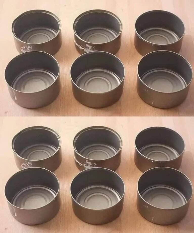 Nie wyrzucaj już puszek po tuńczyku, w domu są warte tyle, co złoto: jak je ponownie wykorzystać