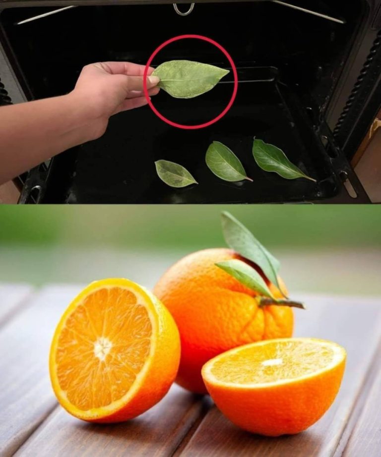 JEŚLI MASZ LIŚCIE POMARAŃCZY, WŁÓŻ JE DO PIEKARNIKA: PO 15 MINUTACH NIE UWIERZYSZ WŁASNYM OCZOM.