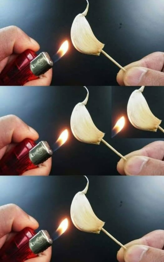 Przypalenie ząbka czosnku, co się dzieje po 15 minutach w domu