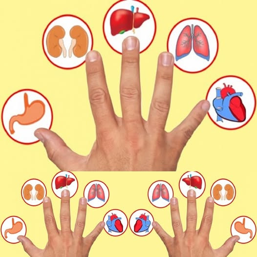Każdy palec jest połączony z organem: odkryj tę japońską metodę