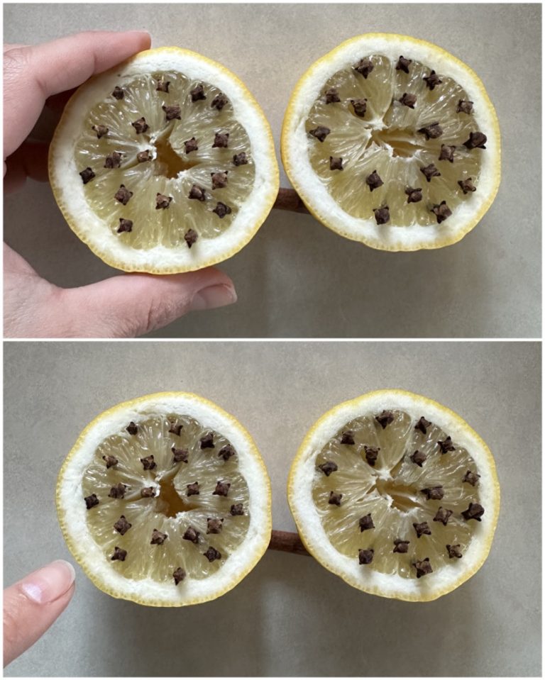 Przekrój cytrynę na pół, dodaj kilka goździków, umieść cytrynę w swoim pokoju i zobacz, co się stanie.