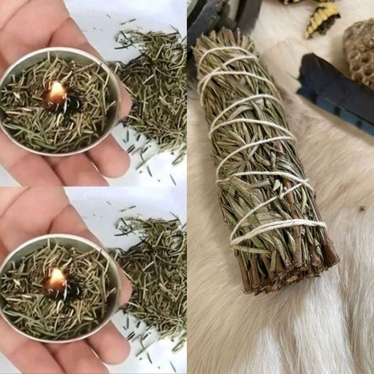 Zapal gałązkę rozmarynu w domu i obserwuj efekty po 15 minutach