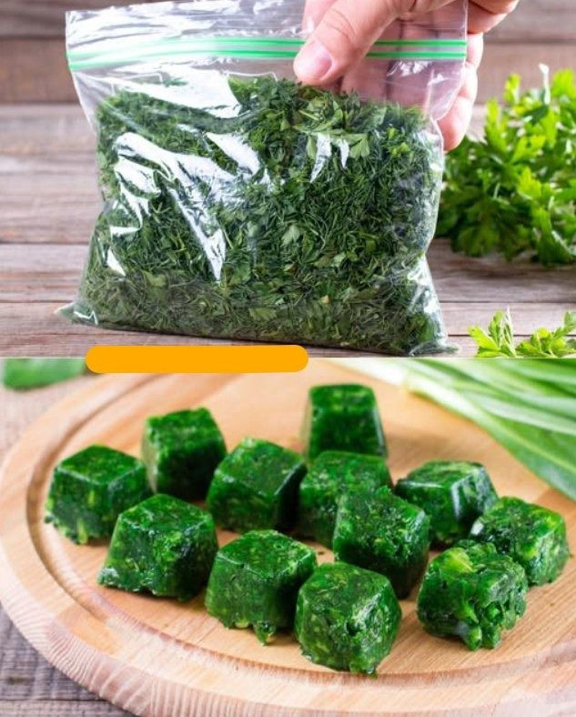 Konserwowanie ziół nigdy nie było łatwiejsze