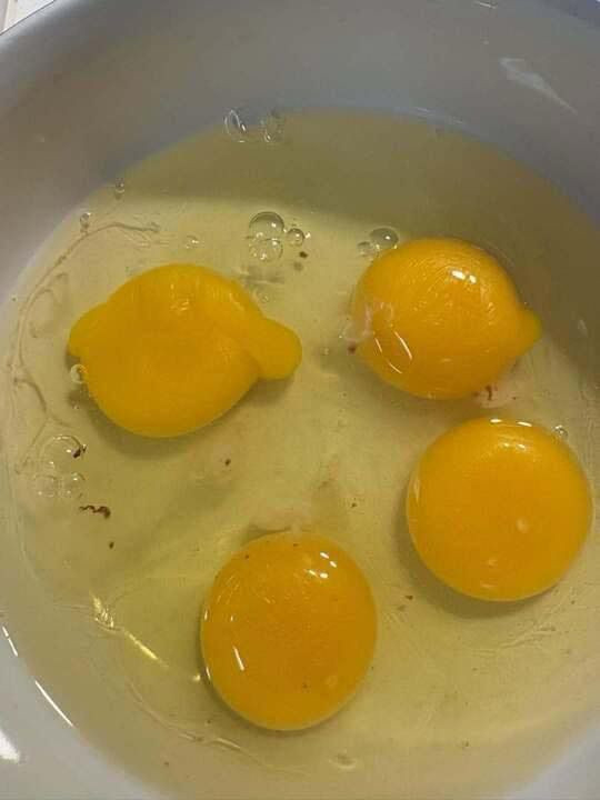 Czy można jeść jajka z plamami krwi?