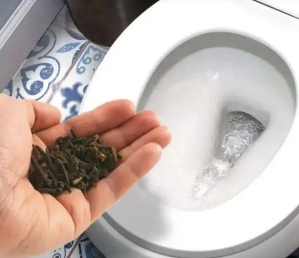 Oto jak pozbyć się zapachu moczu w toalecie i sprawić, by pachniała wspaniale