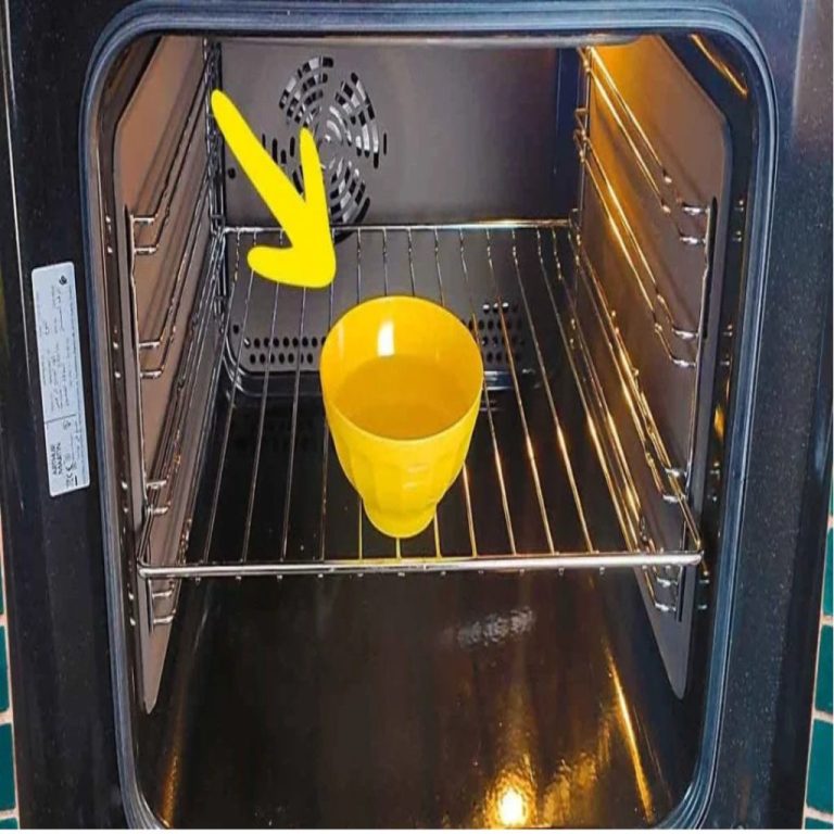 Najlepsze domowe sposoby na pozbycie się nieprzyjemnych zapachów z piekarnika