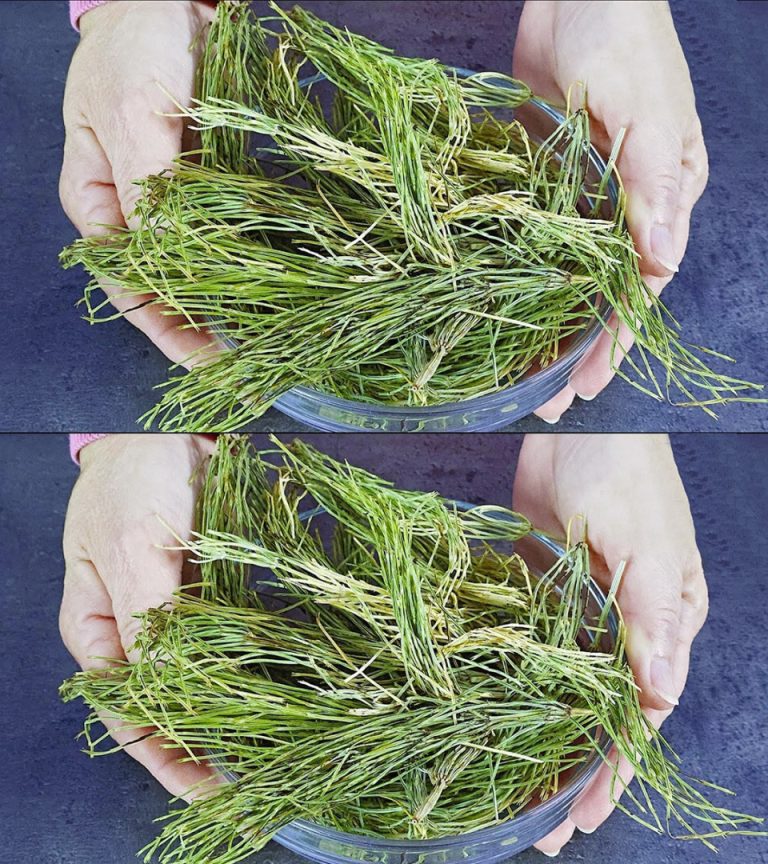 Eliminując bakterie, grzyby i stany zapalne, ta wyjątkowa roślina zasługuje na swoje miejsce w Twojej kuchni