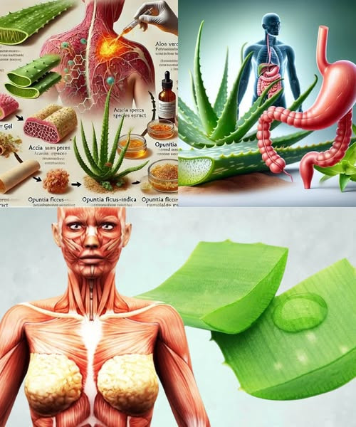 11 niesamowitych korzyści picia wody aloesowej