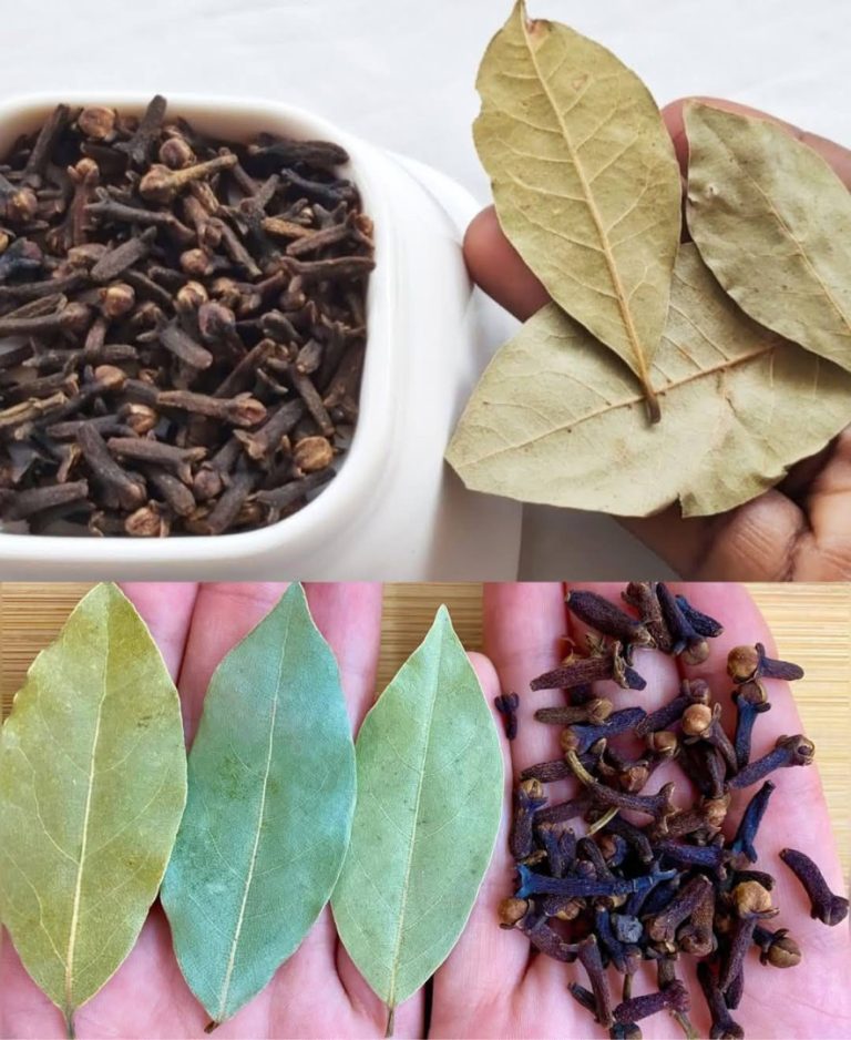 Goździki i liść laurowy: naturalne połączenie o niezwykłych właściwościach