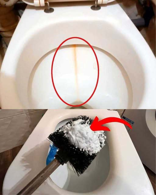 Sekret lśniącej toalety