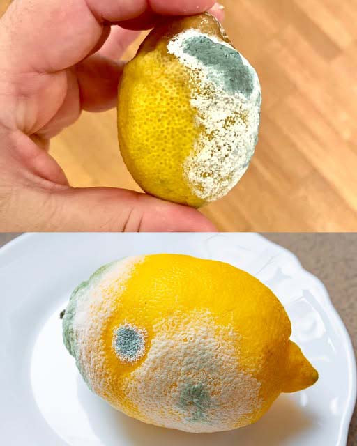 Wskazówka, jak zachować świeżość cytryn na dłużej