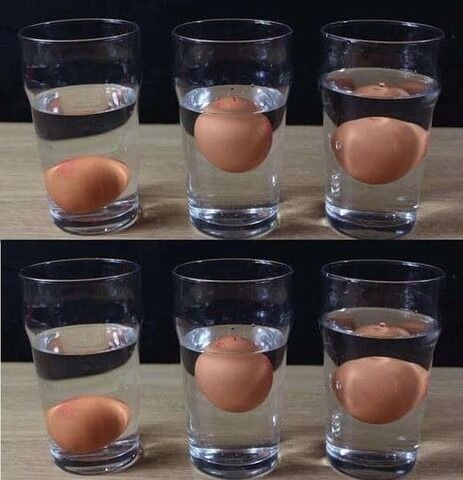 Jak rozpoznać świeże jajka w kuchni?