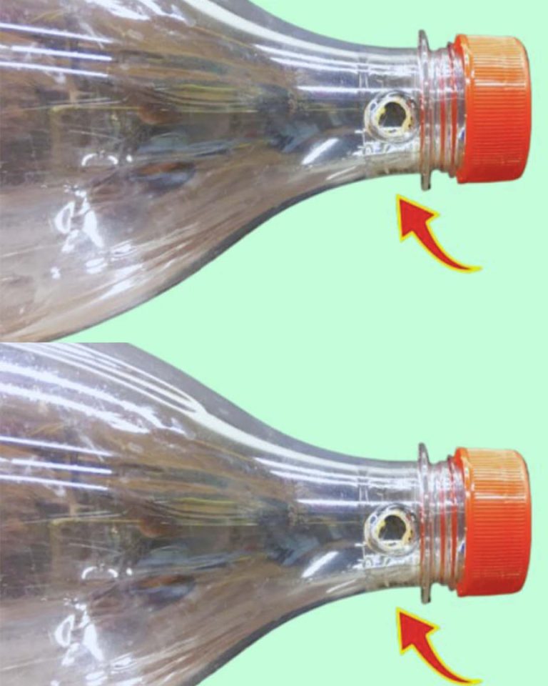 Przekształć swoje plastikowe butelki w kreatywne skarby dla domu