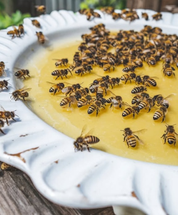 Latem pszczołom brakuje niezbędnych zasobów