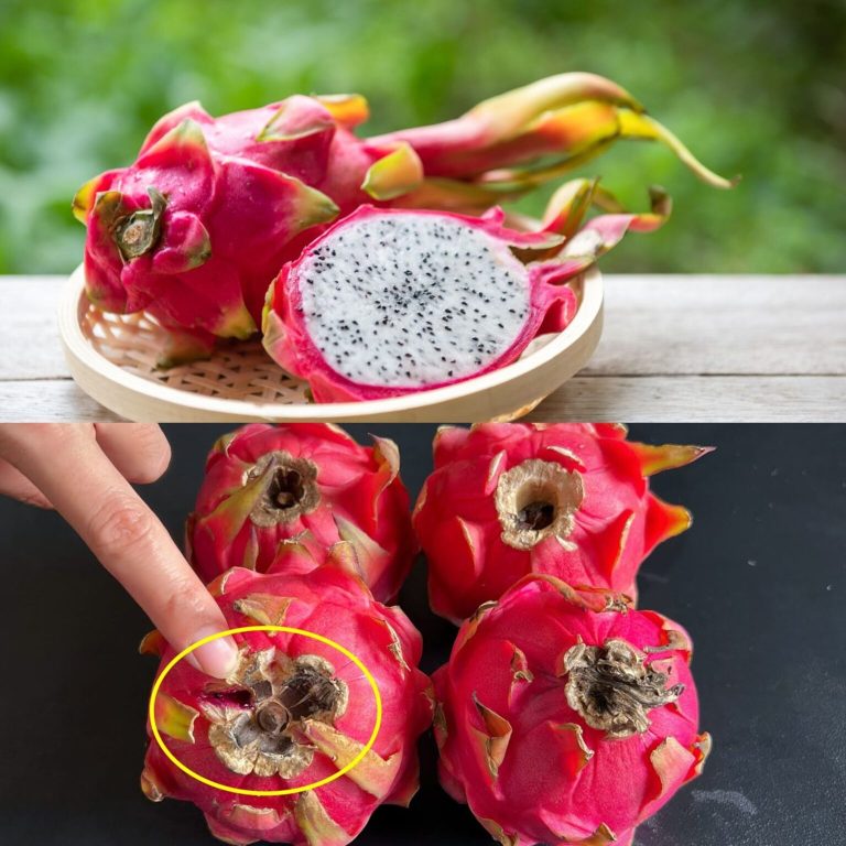 Inteligentny przewodnik po wyborze smoczego owocu: 5 rodzajów, których należy unikać