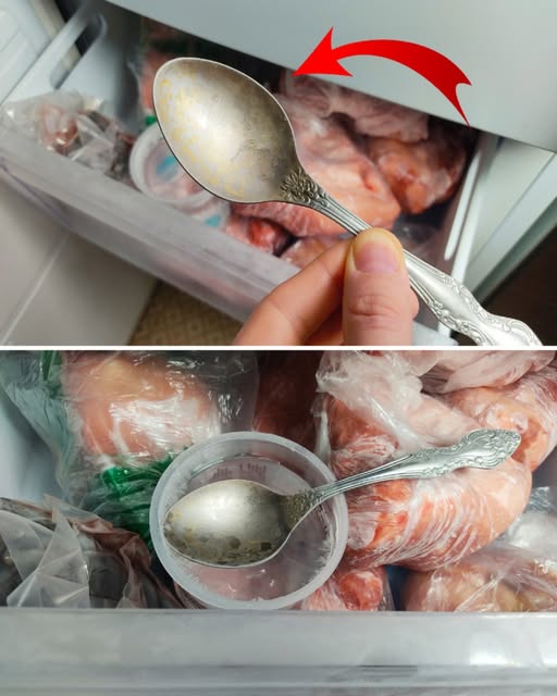 Dlaczego warto trzymać łyżkę w zamrażarce?