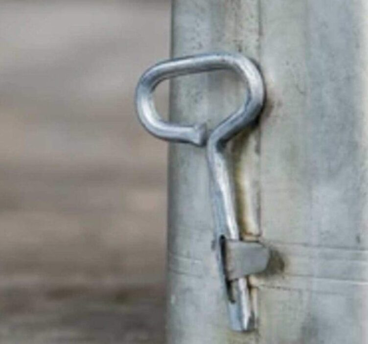 Większość ludzi dziś często pomija ten aspekt, jednak prawdziwi entuzjaści dostrzegają jego znaczenie. A oto najświeższe informacje: