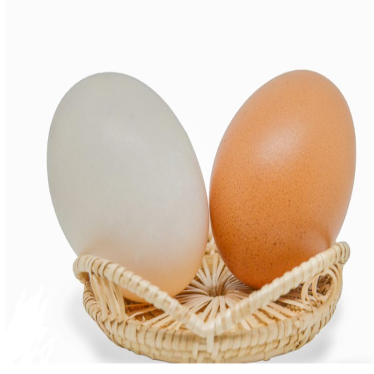 Brązowe jajka VS. Biali ludzie: jaka jest różnica?
