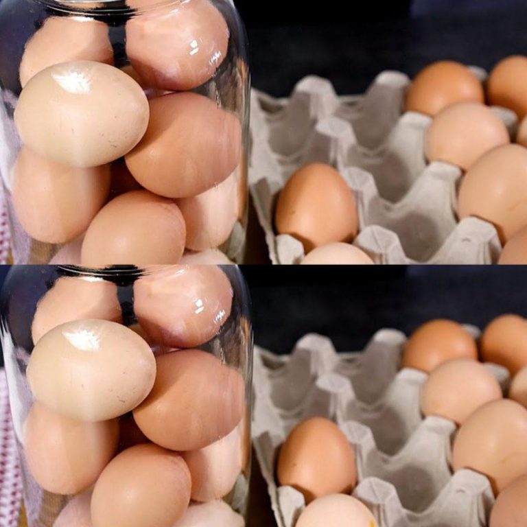 Wojna nauczyła mnie, jak przetrwać: jak zachować świeżość konserwowanych jajek nawet przez 2 lata