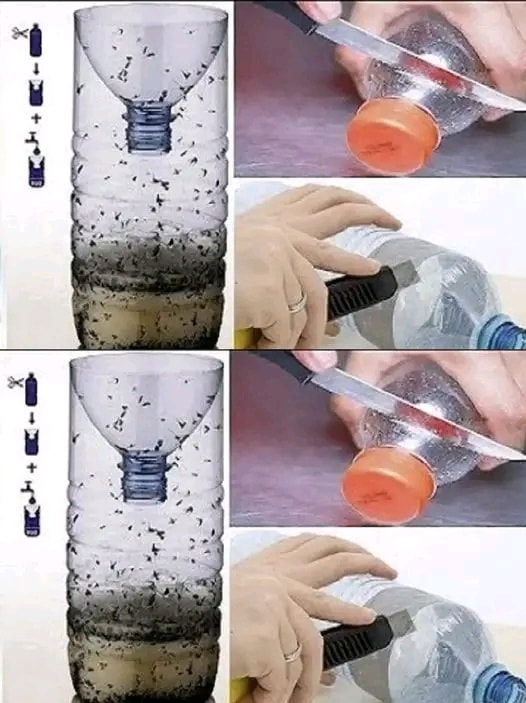 Jak zrobić w domu pułapkę na muchy i komary: Zajmie to tylko kilka minut.