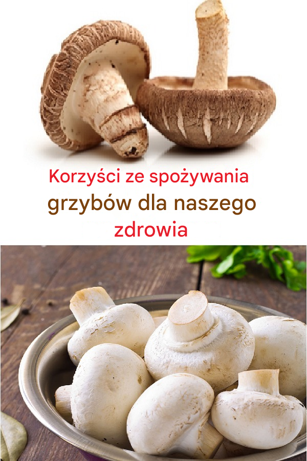 Korzyści ze spożywania grzybów dla naszego zdrowia