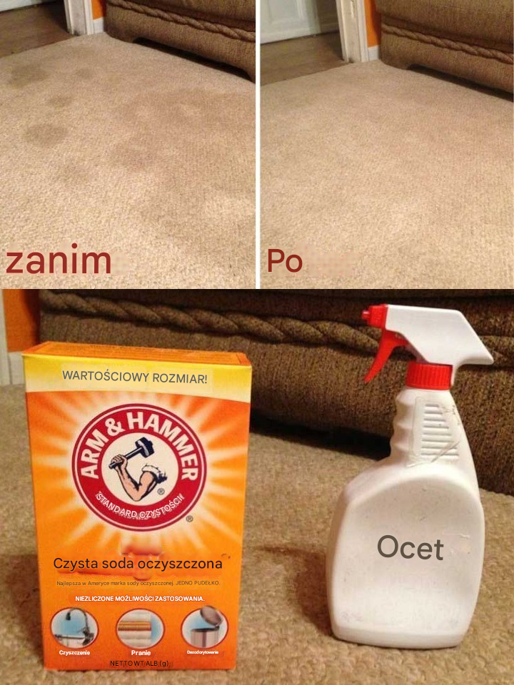 Składniki w sklepie Two Dollar Store, dzięki którym Twój dywan znów będzie wyglądał jak nowy