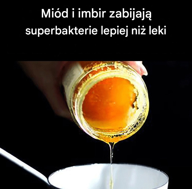 Miód i imbir zabijają superbakterie lepiej niż leki