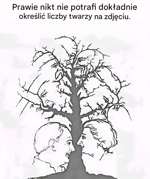 Jeżeli w czasie krótszym niż dziesięć sekund uda Ci się dostrzec wszystkie twarze ukryte w tej iluzji optycznej, Twój wzrok należy do najlepszych.