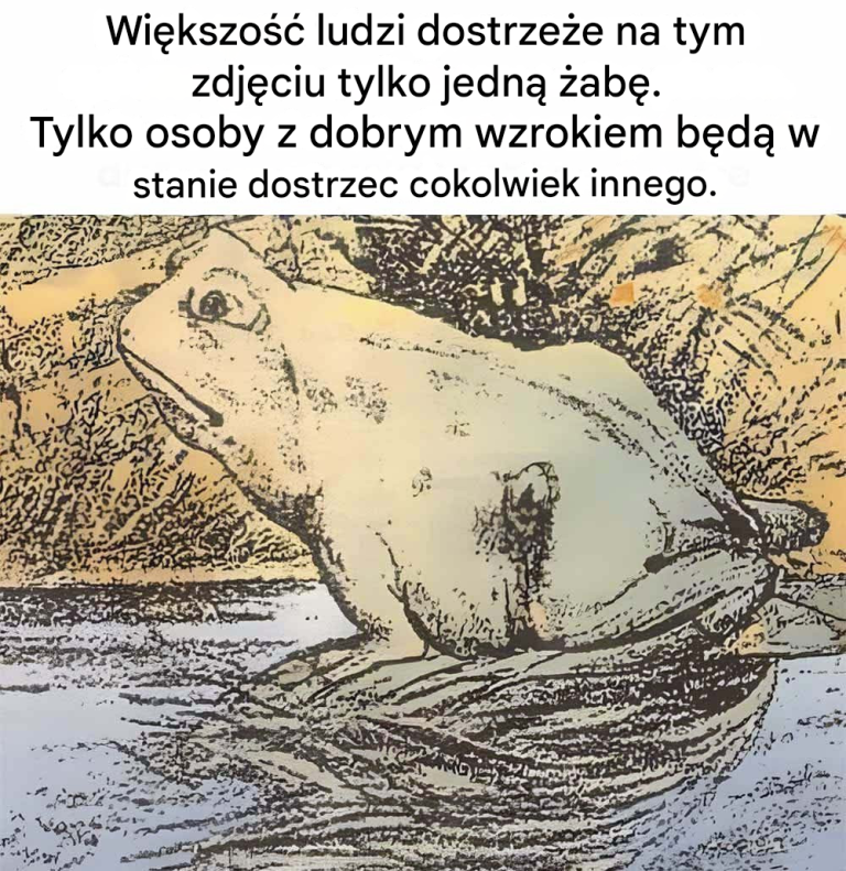 Tylko niektórzy potrafią zobaczyć konia na tym zdjęciu – czy jesteś jedną z tych wybranych?
