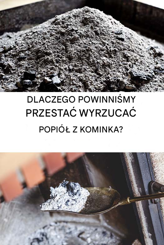 Dlaczego nie należy wyrzucać popiołu z kominka?