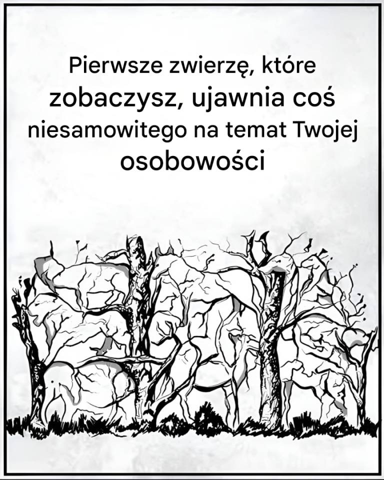 Pierwsze zwierzę, które zobaczysz, ujawni pewne informacje na temat Twojej osobowości