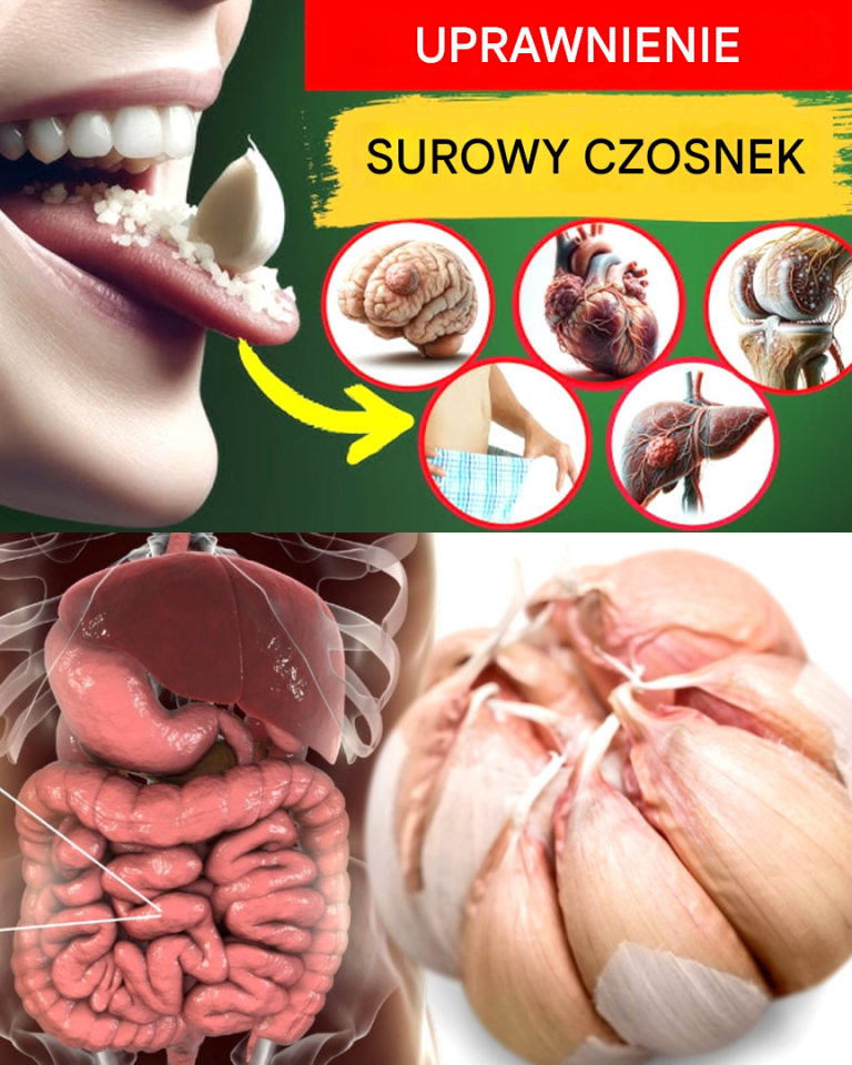 Surowy czosnek: mała superżywność o dużych korzyściach zdrowotnych