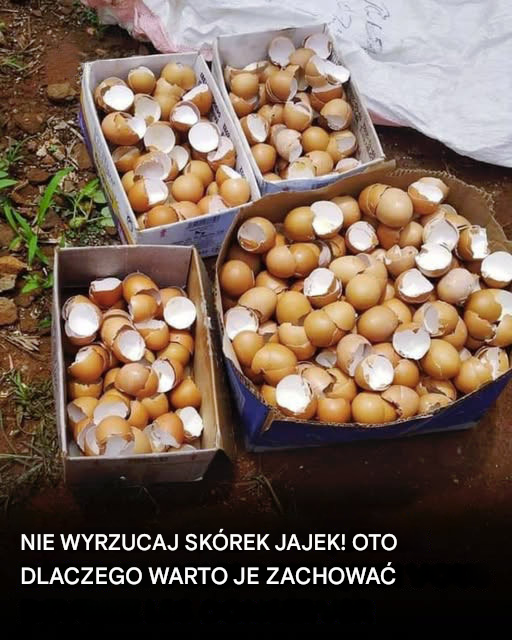 7 sposobów na ponowne wykorzystanie skorupek jajek dla bardziej ekologicznego domu i ogrodu